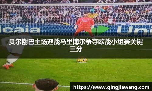 贝尔谢巴主场迎战马里博尔争夺欧战小组赛关键三分